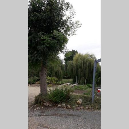 Entre Vignes Et Loire Daire Blaison-Saint-Sulpice Dış mekan fotoğraf