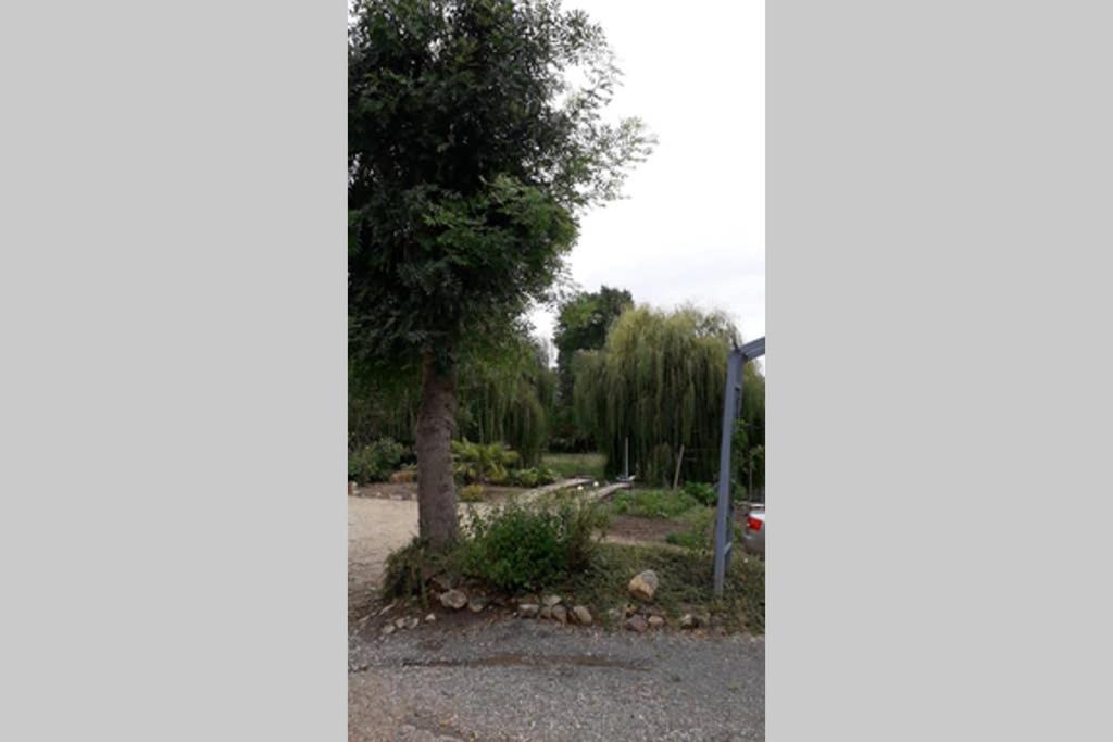 Entre Vignes Et Loire Daire Blaison-Saint-Sulpice Dış mekan fotoğraf