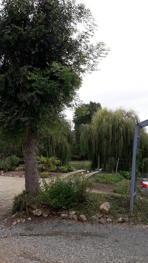 Entre Vignes Et Loire Daire Blaison-Saint-Sulpice Dış mekan fotoğraf